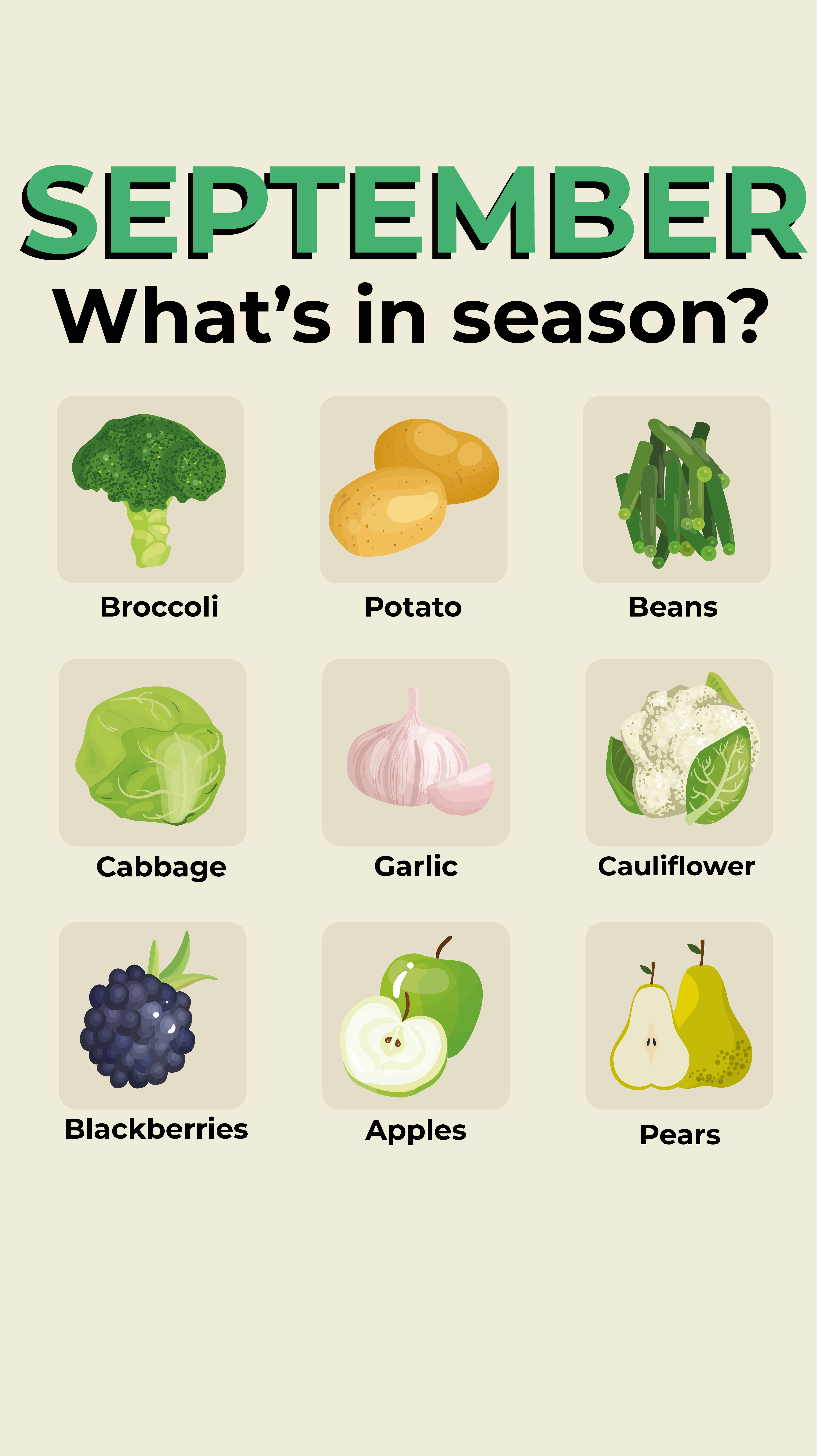 September vegetables